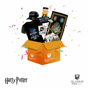 Caja Misteriosa Harry Potter